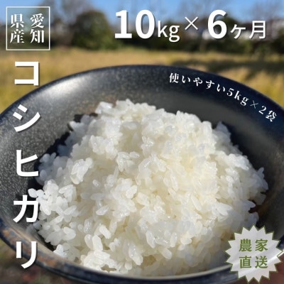 【毎月定期便】10kg(5kg×2袋)×6ヶ月 農家直送!低農薬コシヒカリ全6回