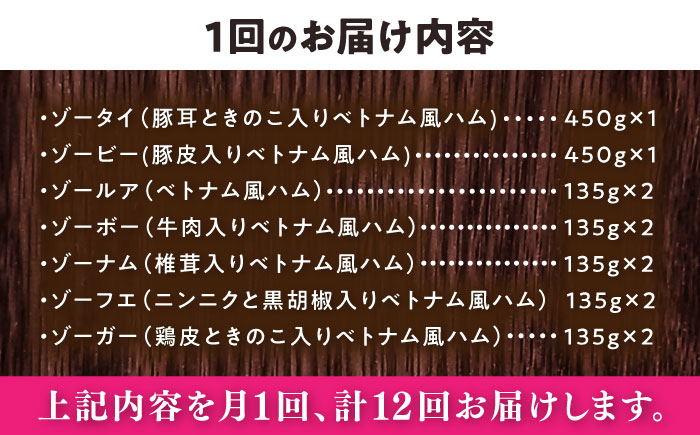 【全12回定期便】ベトナムハム オールスターセット / ハム はむ ベトナム ベトナム料理 / 瀬戸市 / 株式会社フードフォース [BBBE018]