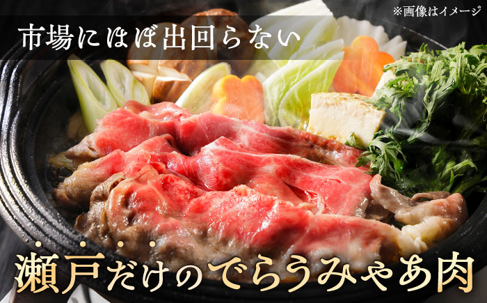 瀬戸山麓牛赤身スライス1.2kg（600g×2P）/ 牛肉 お肉 国産 冷凍 / 瀬戸市 / 関屋精肉店 [BBBQ032]