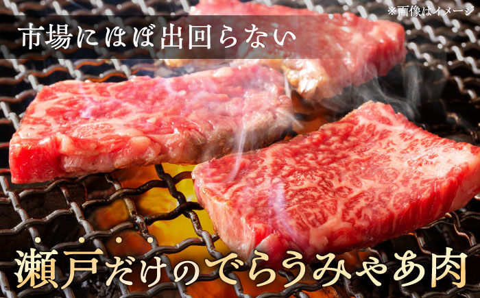 瀬戸山麓和牛カタロース すきやき・しゃぶしゃぶ・焼肉セット計1kg / 牛肉 お肉 国産 冷凍 / 瀬戸市 / 関屋精肉店 [BBBQ036]