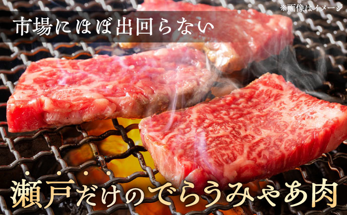 瀬戸山麓和牛カタロース 焼肉用1kg（500g×2）/ 牛肉 お肉 国産 冷凍 / 瀬戸市 / 関屋精肉店 [BBBQ040]