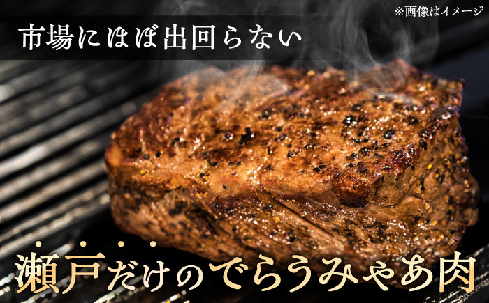 瀬戸山麓和牛モモブロック800g（400g×2）/ 牛肉 お肉 国産 冷凍 / 瀬戸市 / 関屋精肉店 [BBBQ042]