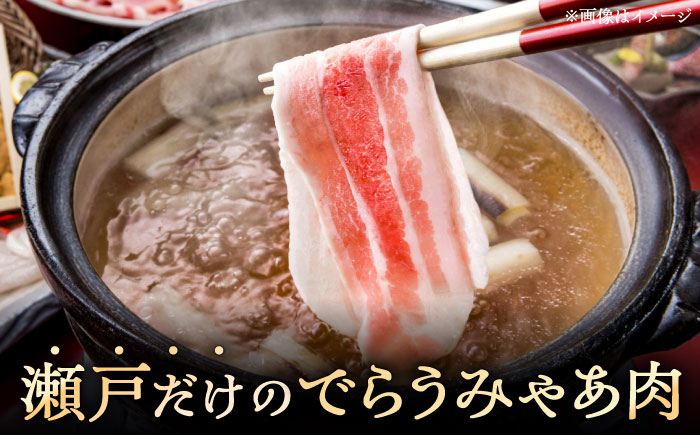 【12回定期便】瀬戸豚 ロースしゃぶしゃぶ用 1.5kg / 豚肉 小分け ロース しゃぶしゃぶ / 瀬戸市 / 関屋精肉店 [BBBQ167]