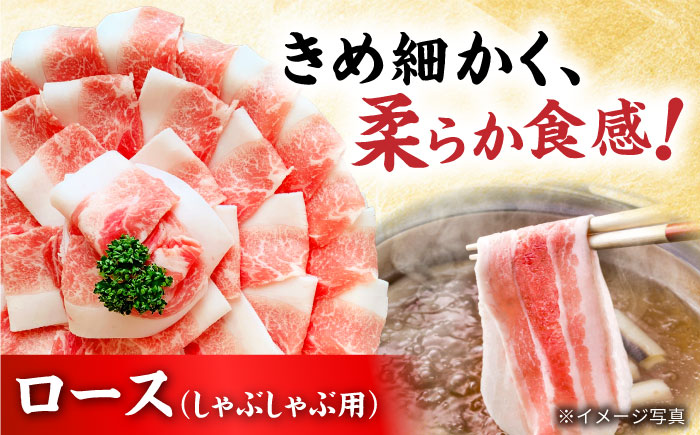 瀬戸豚 豚肉3種セット 計4.8kg / 肉 豚肉 豚バラ しゃぶしゃぶ 冷凍 小分け / 瀬戸市 / 関屋精肉店 [BBBQ224]