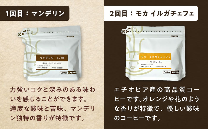 【全6回定期便】世界のコーヒー豆 満足便(豆) / 珈琲 コーヒー / 瀬戸市 / Ｃｏｆｆｅｅ　ＳＡＫＵＲＡ [BBAB152] 豆