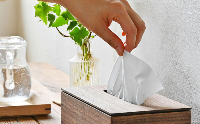 ティッシュケース ウォルナット ソフトパック専用 1点 / 無垢材 シンプル インテリア / 瀬戸市 / トリックフォアトリート [BBAQ002]