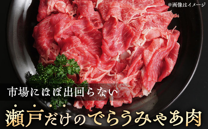 瀬戸山麓牛カタバラ切落し1kg（250g×4P）/ 牛肉 国産 冷凍 小分け / 瀬戸市 / 関屋精肉店 [BBBQ025]