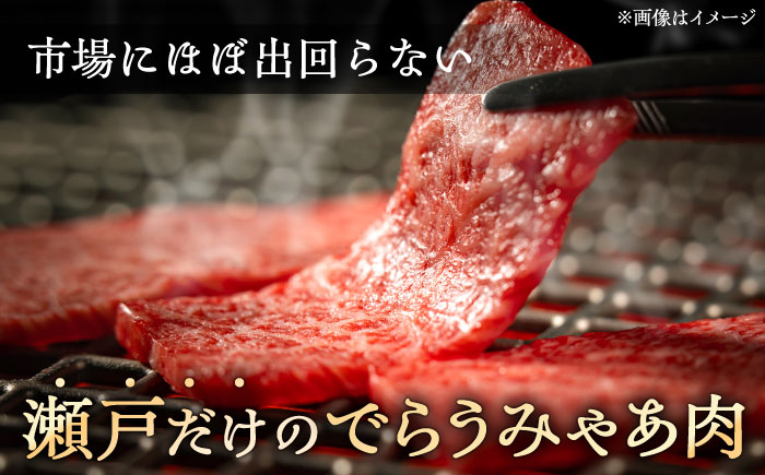 【訳あり】瀬戸山麓牛焼肉用切落し500g（250g×2P）/ 牛肉 お肉 国産 冷凍 / 瀬戸市 / 関屋精肉店 [BBBQ047]