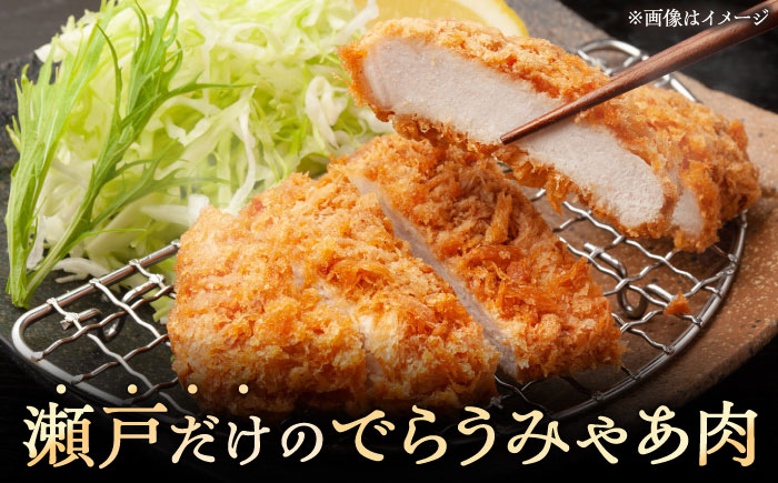 瀬戸豚 とんかつ ステーキ用 約1kg（4枚入り×2パック） / 豚肉 小分け ステーキ とんかつ / 瀬戸市 / 関屋精肉店 [BBBQ150]