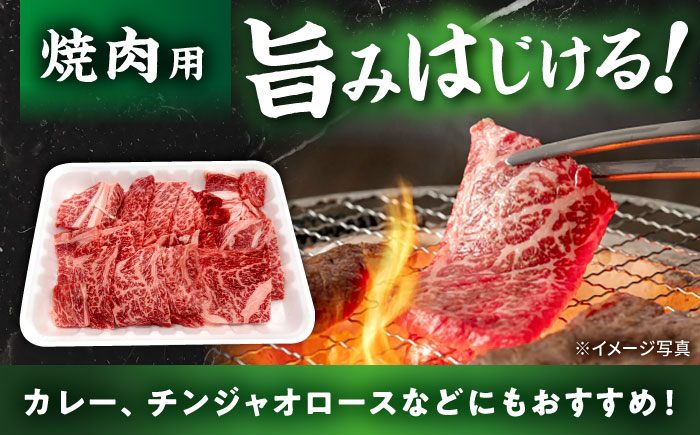 瀬戸山麓牛 肩ロース 焼肉用 500g / 牛肉 国産 和牛 ロース 焼肉 / 瀬戸市 / 関屋精肉店 [BBBQ221] 【500g】焼肉用