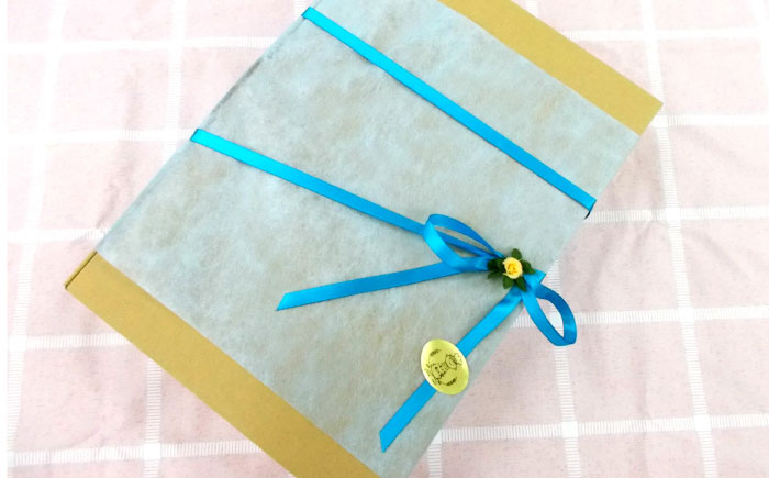 【全6回定期便】焼き菓子ギフトD / 焼き菓子 ギフト 詰め合わせ / 瀬戸市 / 社会福祉法人くわの実福祉会かいこ [BBBU019]