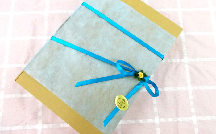 【全12回定期便】焼き菓子ギフトE / 焼き菓子 ギフト 詰め合わせ / 瀬戸市 / 社会福祉法人くわの実福祉会かいこ [BBBU023]