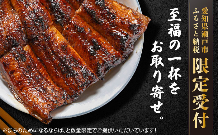 炭火焼き 国産うなぎ 蒲焼 2尾 / ウナギ 鰻 蒲焼 炭火 かば焼き / 瀬戸市 / うなぎ田代 [BBCA002]