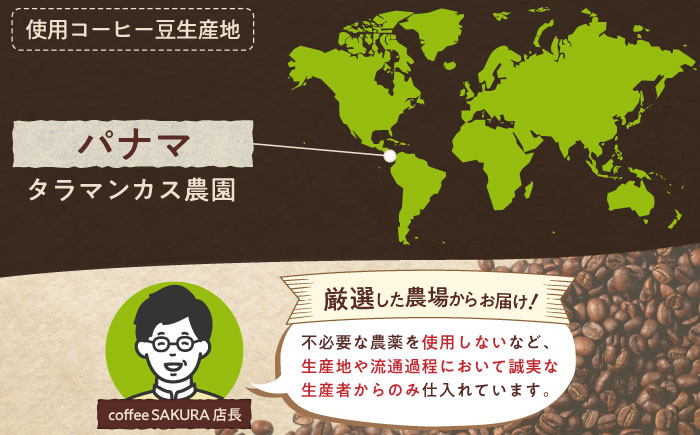 ゲイシャコーヒー(粉)　タラマンカス農園　200g×2 / 珈琲 コーヒー ゲイシャ / 瀬戸市 / Ｃｏｆｆｅｅ　ＳＡＫＵＲＡ [BBAB131] 粉