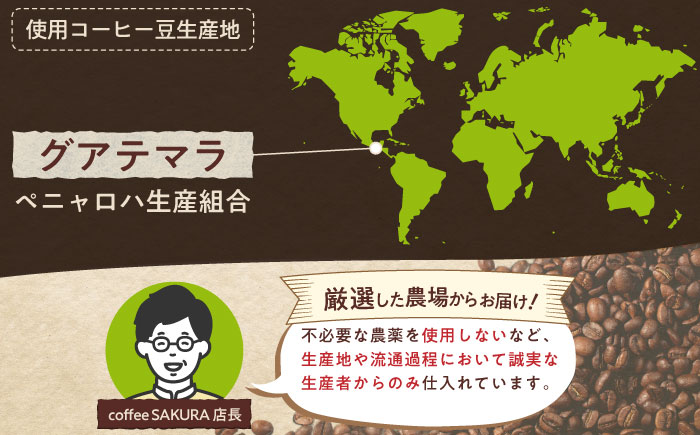 グアテマラコーヒー(粉)　ロハ　200g×2 / 珈琲 コーヒー グアテマラ / 瀬戸市 / Ｃｏｆｆｅｅ　ＳＡＫＵＲＡ [BBAB133] 粉