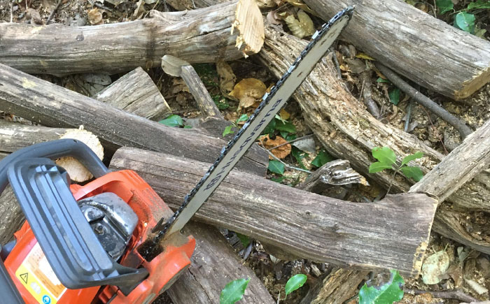 どんぐりの木のボールペン 1本 / 瀬戸市 / 【わたり工房】 / 文房具 ボールペン 木製 回転式 [BBAU002]