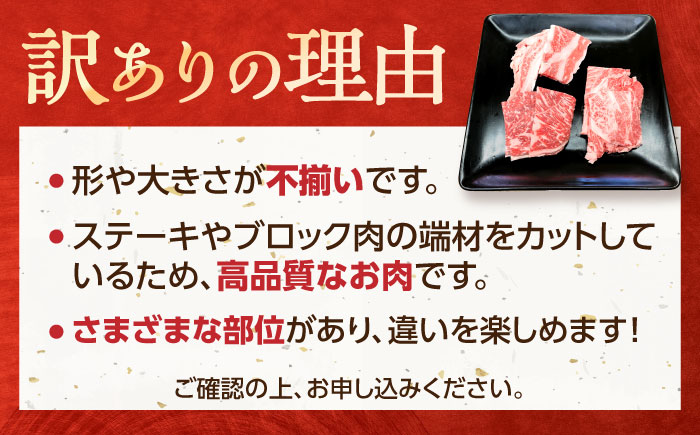 【訳あり】瀬戸山麓牛焼肉用切落し500g（250g×2P）/ 牛肉 お肉 国産 冷凍 / 瀬戸市 / 関屋精肉店 [BBBQ047]