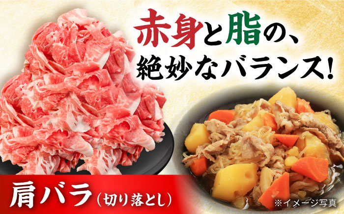 瀬戸豚 豚肉3種セット 計4.8kg / 肉 豚肉 豚バラ しゃぶしゃぶ 冷凍 小分け / 瀬戸市 / 関屋精肉店 [BBBQ224]