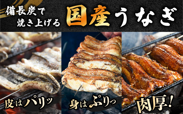 炭火焼き 国産うなぎ 蒲焼 3尾 / ウナギ 鰻 蒲焼 炭火 かば焼き / 瀬戸市 / うなぎ田代 [BBCA003]