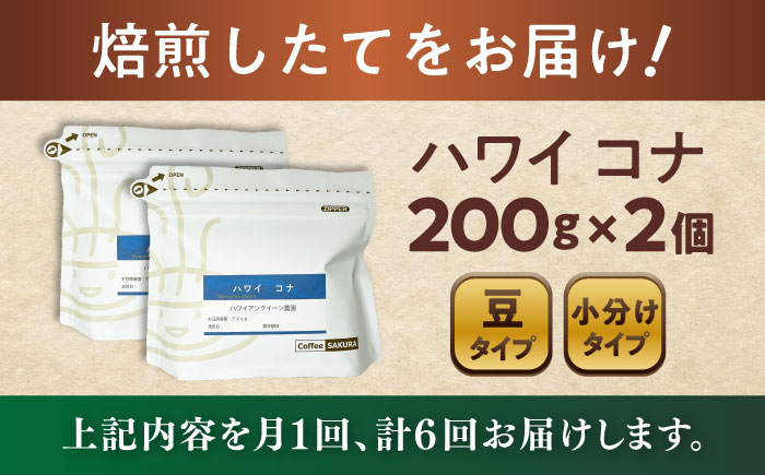 【全6回定期便】ハワイ・コナ コーヒー豆 200g×2個 (豆) / 珈琲 コーヒー 豆 / 瀬戸市 / Ｃｏｆｆｅｅ　ＳＡＫＵＲＡ [BBAB028] 豆