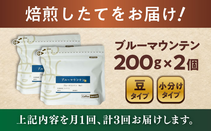 【全3回定期便】ブルーマウンテンNo.1 コーヒー豆 200g×2個 (豆) / 珈琲 コーヒー 豆 / 瀬戸市 / Ｃｏｆｆｅｅ　ＳＡＫＵＲＡ [BBAB030] 豆