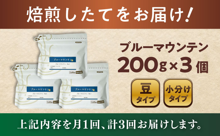 【全3回定期便】ブルーマウンテンNo.1 コーヒー豆 200g×3個 (豆) / 珈琲 コーヒー 豆 / 瀬戸市 / Ｃｏｆｆｅｅ　ＳＡＫＵＲＡ [BBAB079] 豆