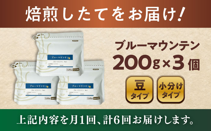 【全6回定期便】ブルーマウンテンNo.1 コーヒー豆 200g×3個 (豆) / 珈琲 コーヒー 豆 / 瀬戸市 / Ｃｏｆｆｅｅ　ＳＡＫＵＲＡ [BBAB080] 豆