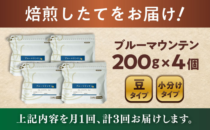 【全3回定期便】ブルーマウンテンNo.1 コーヒー豆 200g×4個 (豆) / 珈琲 コーヒー 豆 / 瀬戸市 / Ｃｏｆｆｅｅ　ＳＡＫＵＲＡ [BBAB083] 豆