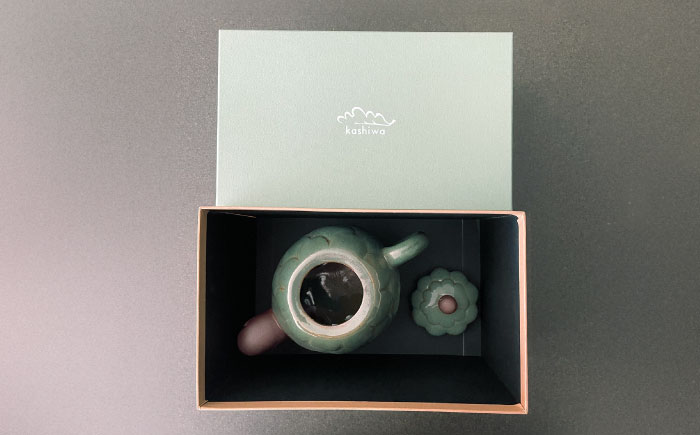 【瀬戸焼】動物のポット カメ【かしわ窯】 / 瀬戸焼 ギフト ポット ティーポット 急須 茶器 [BBAJ007]