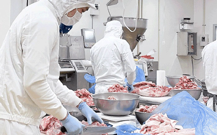 【全12回定期便】ベトナムハム Sサイズ 4種セット / ハム はむ ベトナム ベトナム料理 / 瀬戸市 / 株式会社フードフォース [BBBE012]