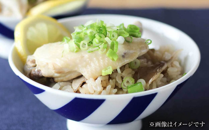 【瀬戸焼】 風 Mサイズ souzyu-en modern 【双寿園】/ 茶碗 食器 モダン / 瀬戸市 [BBBI030]