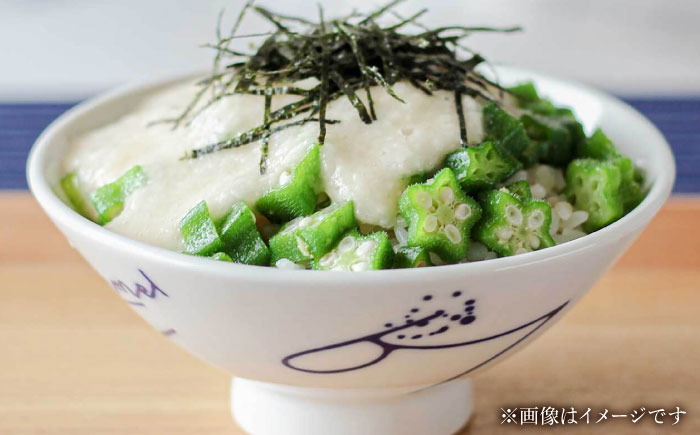 【瀬戸焼】 青 茶碗セット (Mサイズ 2個) souzyu-en modern 【双寿園】 / 茶碗 食器 モダン ペア / 瀬戸市 [BBBI034]