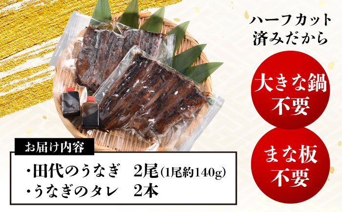 炭火焼き 国産うなぎ 蒲焼 2尾 / ウナギ 鰻 蒲焼 炭火 かば焼き / 瀬戸市 / うなぎ田代 [BBCA002]