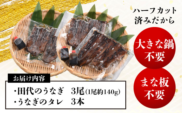 炭火焼き 国産うなぎ 蒲焼 3尾 / ウナギ 鰻 蒲焼 炭火 かば焼き / 瀬戸市 / うなぎ田代 [BBCA003]