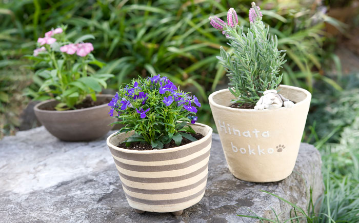 ひなたぼっこ 4色×2個セット / おもちゃ ねんど 粘土 工作 / 瀬戸市 /中部電磁器工業株式会社 [BBDF002]