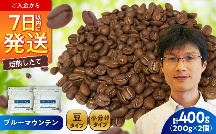 ブルーマウンテンNo.1 コーヒー豆 200g×2個 (豆) / 珈琲 コーヒー 豆 / 瀬戸市 / Ｃｏｆｆｅｅ　ＳＡＫＵＲＡ [BBAB008] 【豆】400g