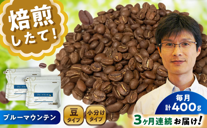【全3回定期便】ブルーマウンテンNo.1 コーヒー豆 200g×2個 (豆) / 珈琲 コーヒー 豆 / 瀬戸市 / Ｃｏｆｆｅｅ　ＳＡＫＵＲＡ [BBAB030] 豆