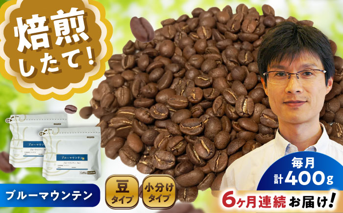 【全6回定期便】ブルーマウンテンNo.1 コーヒー豆 200g×2個 (豆) / 珈琲 コーヒー 豆 / 瀬戸市 / Ｃｏｆｆｅｅ　ＳＡＫＵＲＡ [BBAB031] 豆
