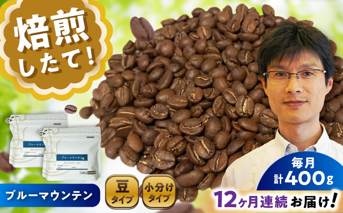 【全12回定期便】ブルーマウンテンNo.1 コーヒー豆 200g×2個 (豆) / 珈琲 コーヒー 豆 / 瀬戸市 / Ｃｏｆｆｅｅ　ＳＡＫＵＲＡ [BBAB032] 豆