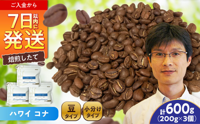 ハワイ・コナ コーヒー豆 200g×3個 (豆) / 珈琲 コーヒー 豆 / 瀬戸市 / Ｃｏｆｆｅｅ　ＳＡＫＵＲＡ [BBAB058] 【豆】600g