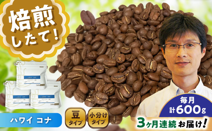 【全3回定期便】ハワイ・コナ コーヒー豆 200g×3個 (豆) / 珈琲 コーヒー 豆 / 瀬戸市 / Ｃｏｆｆｅｅ　ＳＡＫＵＲＡ [BBAB059] 豆