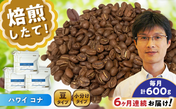 【全6回定期便】ハワイ・コナ コーヒー豆 200g×3個 (豆) / 珈琲 コーヒー 豆 / 瀬戸市 / Ｃｏｆｆｅｅ　ＳＡＫＵＲＡ [BBAB060] 豆