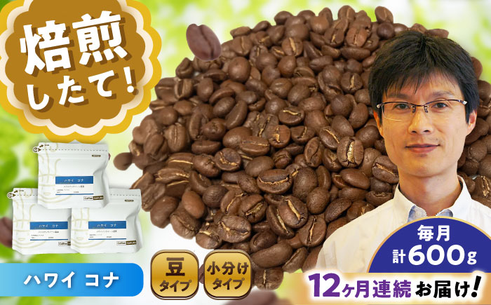 【全12回定期便】ハワイ・コナ コーヒー豆 200g×3個 (豆) / 珈琲 コーヒー 豆 / 瀬戸市 / Ｃｏｆｆｅｅ　ＳＡＫＵＲＡ [BBAB061] 豆