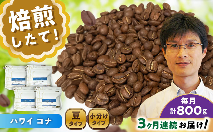 【全3回定期便】ハワイ・コナ コーヒー豆 200g×4個 (豆) / 珈琲 コーヒー 豆 / 瀬戸市 / Ｃｏｆｆｅｅ　ＳＡＫＵＲＡ [BBAB063] 豆