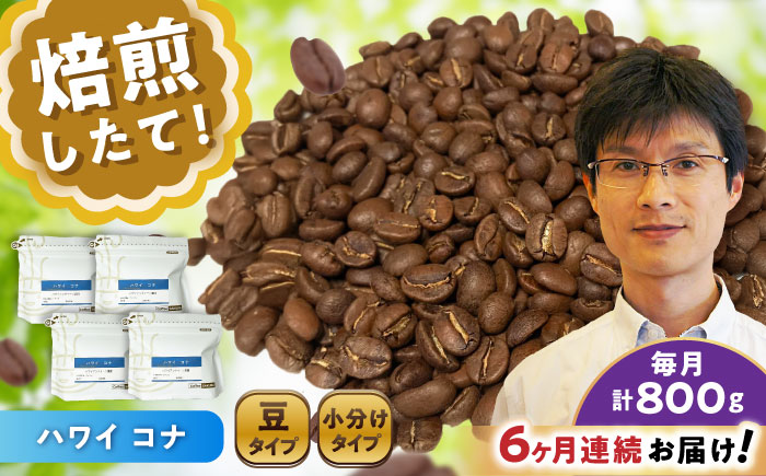 【全6回定期便】ハワイ・コナ コーヒー豆 200g×4個 (豆) / 珈琲 コーヒー 豆 / 瀬戸市 / Ｃｏｆｆｅｅ　ＳＡＫＵＲＡ [BBAB064] 豆
