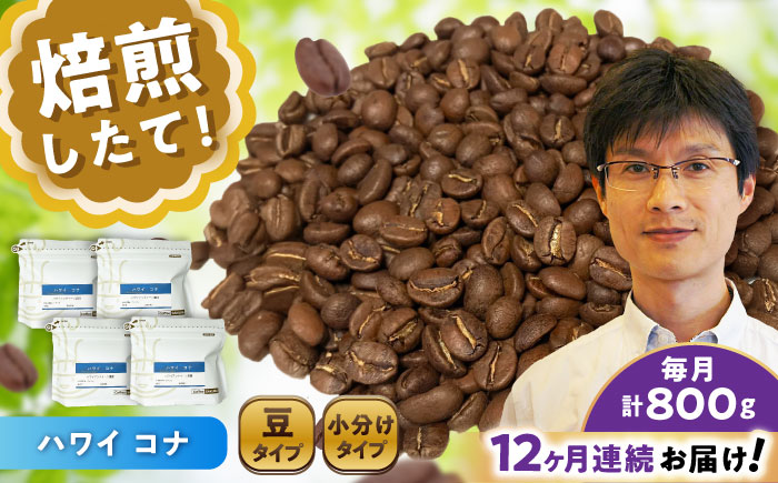 【全12回定期便】ハワイ・コナ コーヒー豆 200g×4個 (豆) / 珈琲 コーヒー 豆 / 瀬戸市 / Ｃｏｆｆｅｅ　ＳＡＫＵＲＡ [BBAB065] 豆