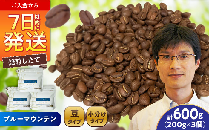 ブルーマウンテンNo.1 コーヒー豆 200g×3個 (豆) / 珈琲 コーヒー 豆 / 瀬戸市 / Ｃｏｆｆｅｅ　ＳＡＫＵＲＡ [BBAB078] 【豆】600g