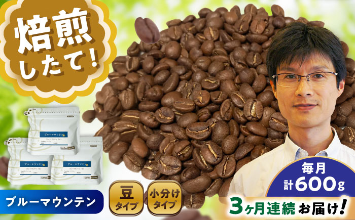 【全3回定期便】ブルーマウンテンNo.1 コーヒー豆 200g×3個 (豆) / 珈琲 コーヒー 豆 / 瀬戸市 / Ｃｏｆｆｅｅ　ＳＡＫＵＲＡ [BBAB079] 豆