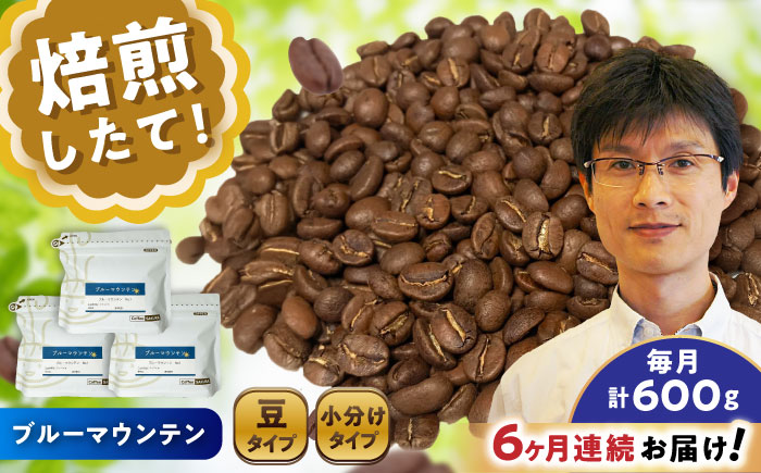 【全6回定期便】ブルーマウンテンNo.1 コーヒー豆 200g×3個 (豆) / 珈琲 コーヒー 豆 / 瀬戸市 / Ｃｏｆｆｅｅ　ＳＡＫＵＲＡ [BBAB080] 豆