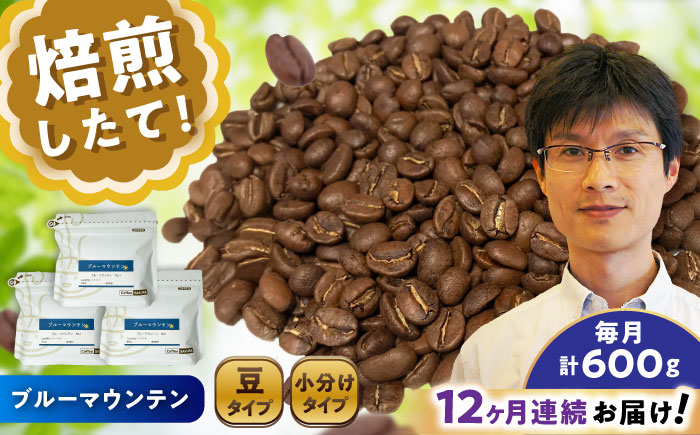 【全12回定期便】ブルーマウンテンNo.1 コーヒー豆 200g×3個 (豆) / 珈琲 コーヒー 豆 / 瀬戸市 / Ｃｏｆｆｅｅ　ＳＡＫＵＲＡ [BBAB081] 豆